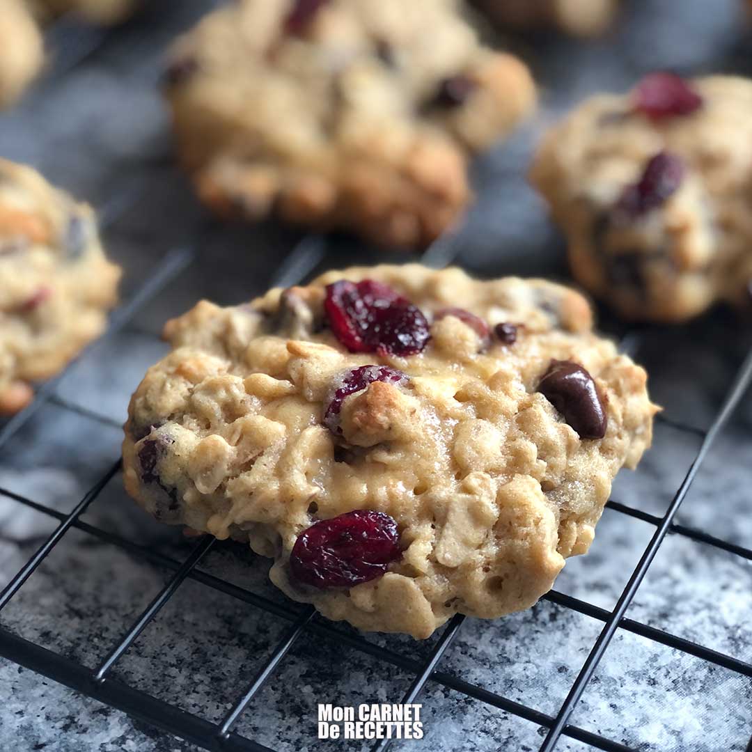 Biscuits à L'avoine Et Aux Canneberges - Mon Carnet De Recettes